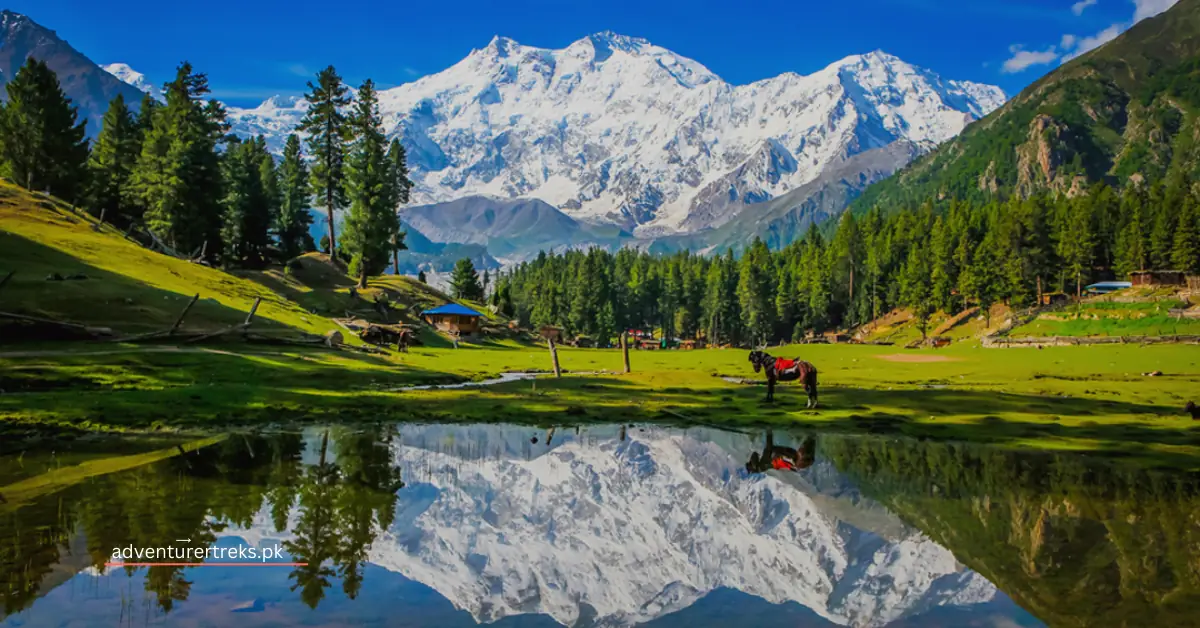 "Explore the majestic beauty of Hunza!"