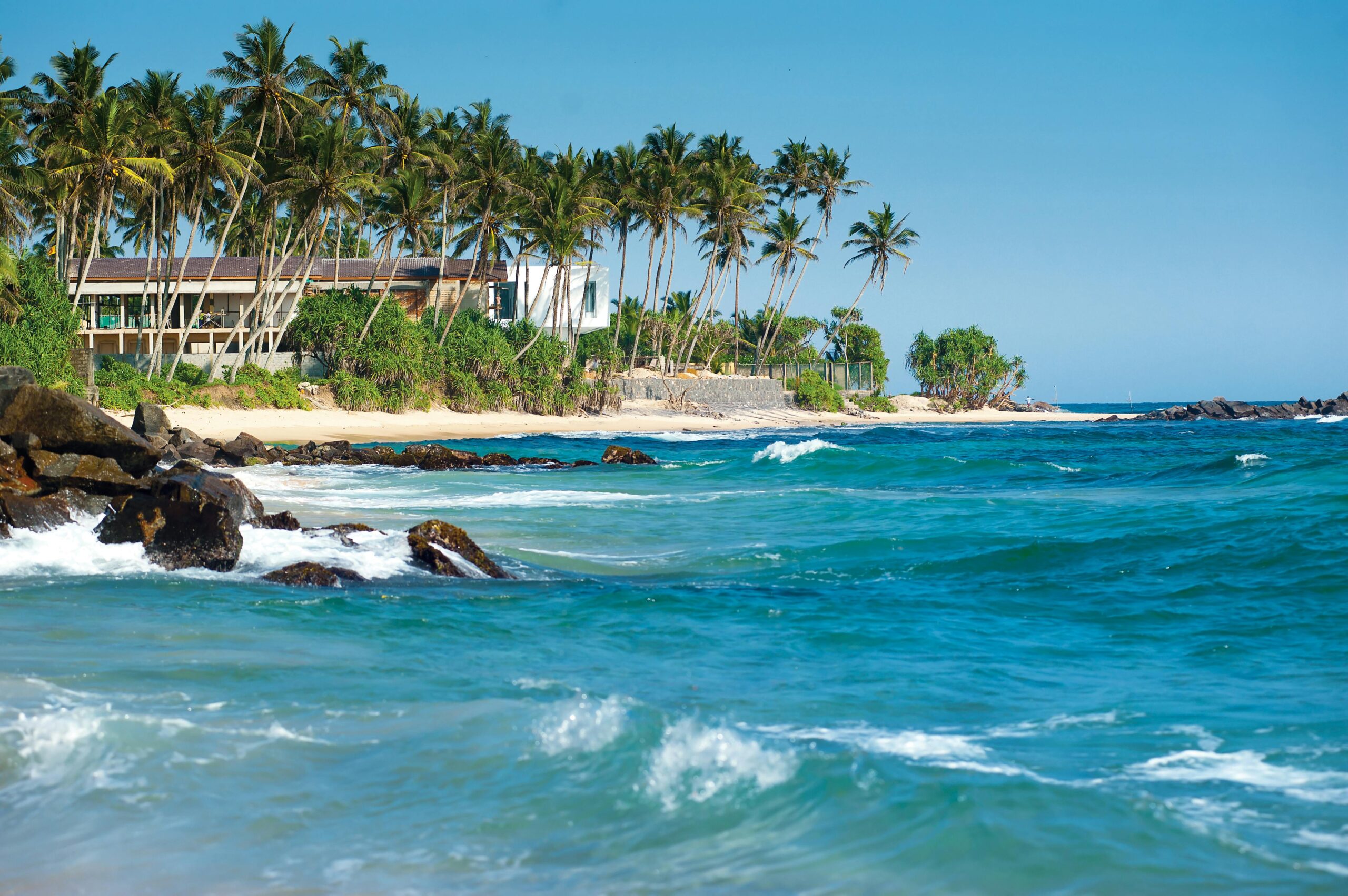 Serene Sri Lankan beach with palm trees and turquoise ocean waves.