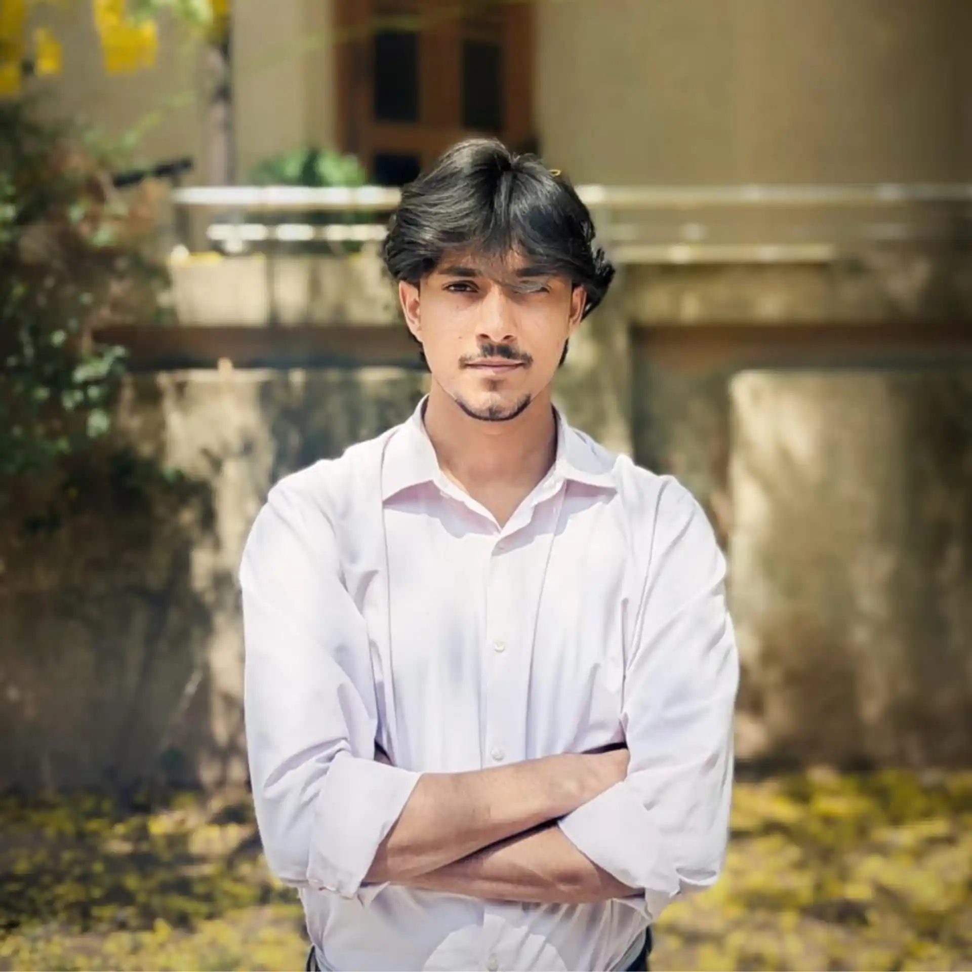 website Image Frame